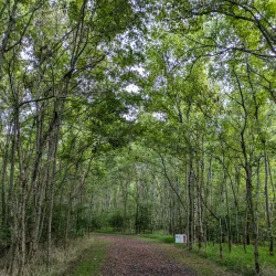 Anglers Park - Danville