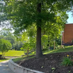 Averett University - Danville