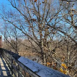 The Crossing at the Dan - Danville