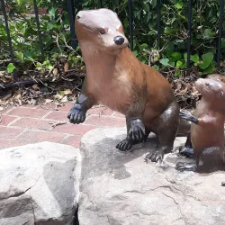 Fredericksburg Area Museum - Fredericksburg