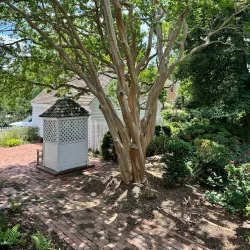 Mary Washington House - Fredericksburg