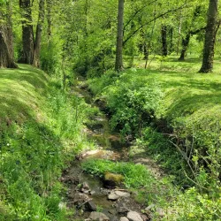 Old Mill Park - Fredericksburg