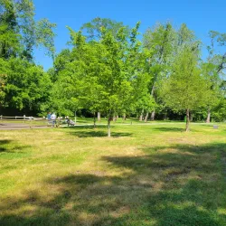 Old Mill Park - Fredericksburg