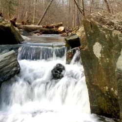 Prince William Forest Park - Gainesville