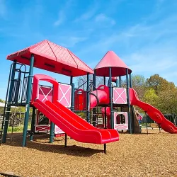 Bluebird Gap Farm - Hampton