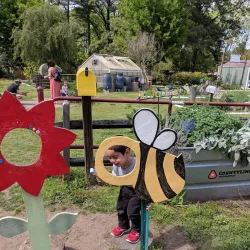 Bluebird Gap Farm - Hampton