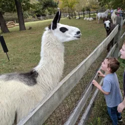 Bluebird Gap Farm - Hampton
