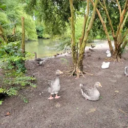 Bluebird Gap Farm - Hampton