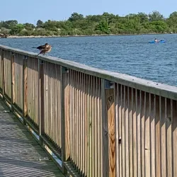 Phoebus Historic District - Hampton