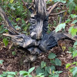 Edith J. Carrier Arboretum - Harrisonburg