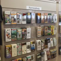 Hardesty-Higgins House Visitor Center - Harrisonburg