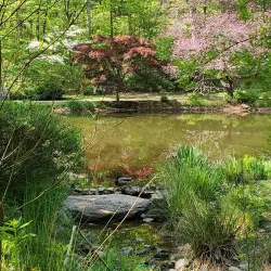 James Madison University Arboretum - Harrisonburg