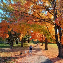 Purcell Park - Harrisonburg