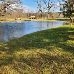 Purcell Park - Harrisonburg