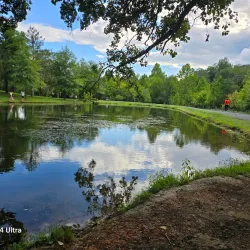 Purcell Park - Harrisonburg