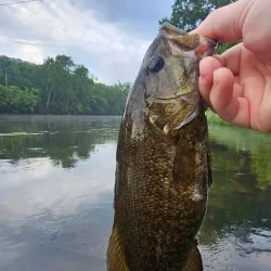 Riverside Park - Harrisonburg