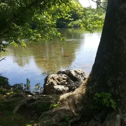 Riverside Park - Harrisonburg