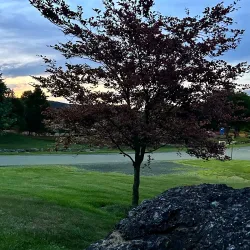 Ida Lee Park - Leesburg