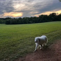 Ida Lee Park - Leesburg