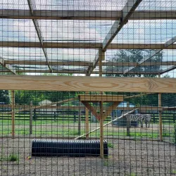 Leesburg Animal Park - Leesburg