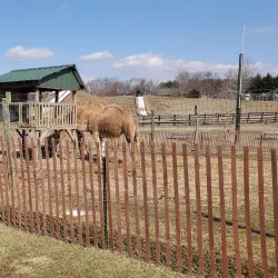 Leesburg Animal Park - Leesburg