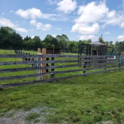 Leesburg Animal Park - Leesburg