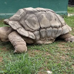 Leesburg Animal Park - Leesburg