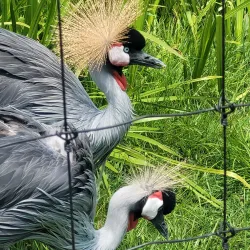 Leesburg Animal Park - Leesburg