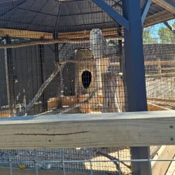 Leesburg Historic District - Leesburg