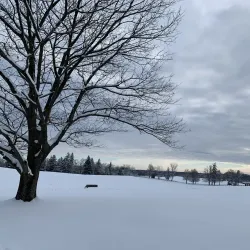 Morven Park - Leesburg