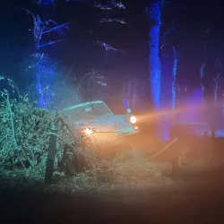 Morven Park - Leesburg