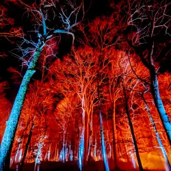 Morven Park - Leesburg