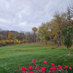 Potomac River Access at Whites Ferry - Leesburg