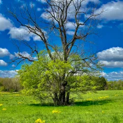 Bristoe Station Battlefield Heritage Park - Manassas