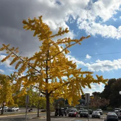 Historic Downtown Manassas - Manassas
