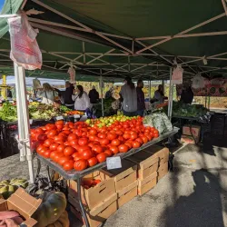 Manassas Farmers Market - Manassas