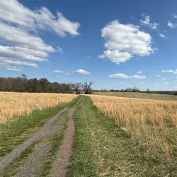 Manassas National Battlefield Park - Manassas