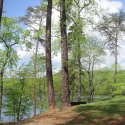 Fairystone State Park - Martinsville