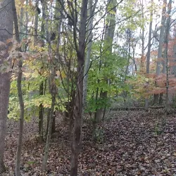 Claude Moore Colonial Farm - McLean