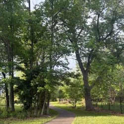 Clemyjontri Park - McLean