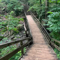 Great Falls Park - McLean