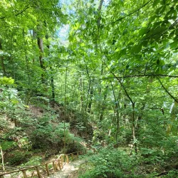 Potomac Heritage Trail - McLean