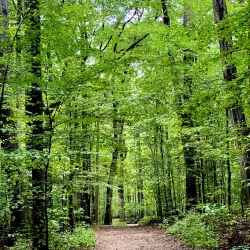 Scott's Run Nature Preserve - McLean