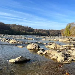 Scott's Run Nature Preserve - McLean