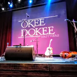 The Alden Theatre - McLean