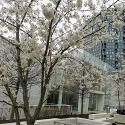 Tysons Corner Center - McLean