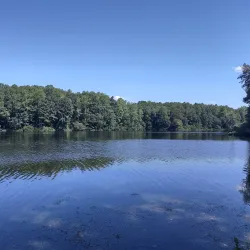 Beaverdam Park - Mechanicsville