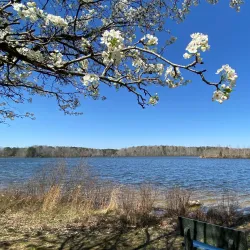 Beaverdam Park - Mechanicsville