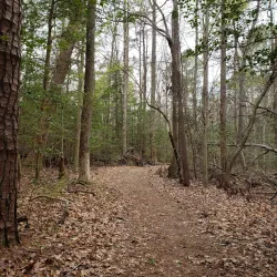 Beaverdam Park - Mechanicsville