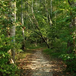 Beaverdam Park - Mechanicsville